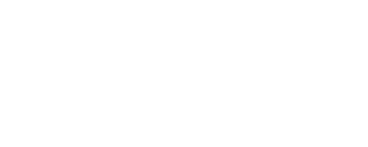 Sandra Larios, Abogada